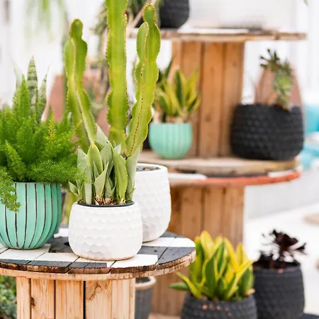 Gold By Marina - Adults Only فندق 4*